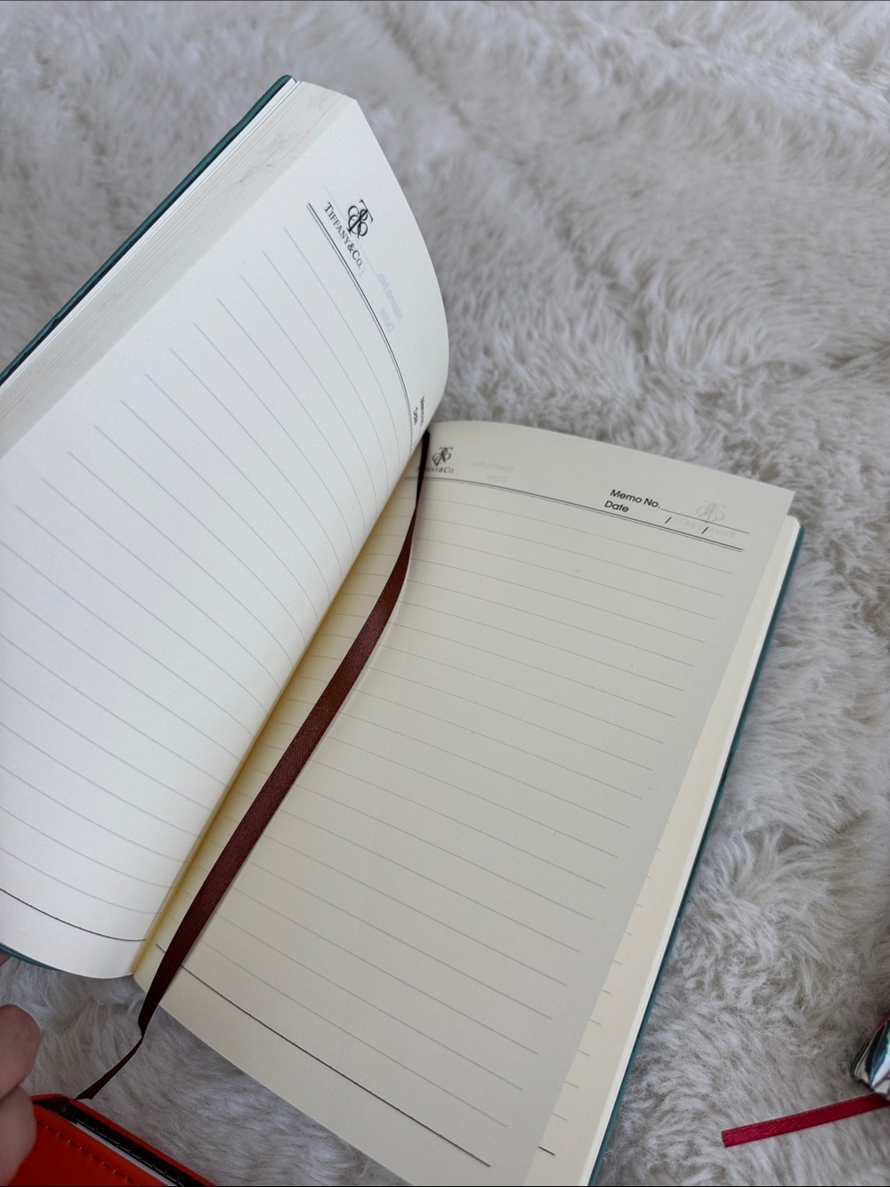 Back to School - NOTEBOOKS bundle (Dior, Hermes, Tiffany & Co, Cartier - Picture 7 of 9